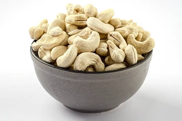 240 Cashew (Cashew-Quilon)